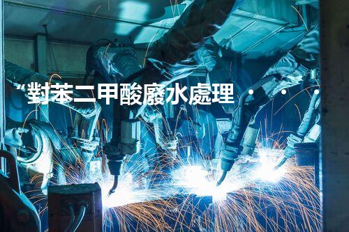 “對苯二甲酸廢水處理，綠色創(chuàng)新引領環(huán)保新篇章”